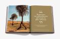 Mleiha: Ancient Treasures of the UAE